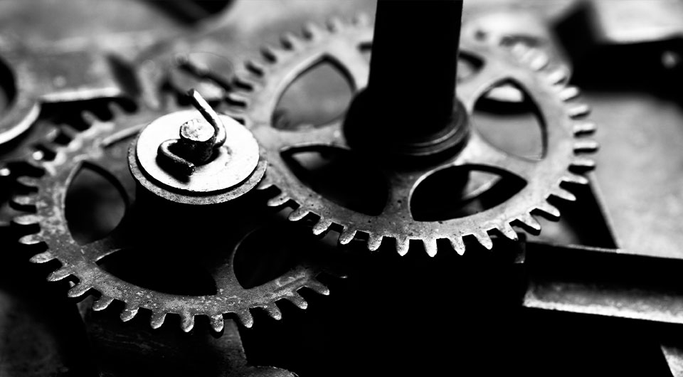 employment & labor