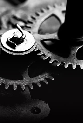 employment & labor